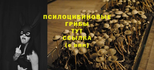 дмт Переславль-Залесский