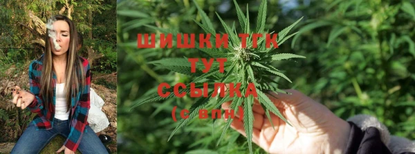 дмт Переславль-Залесский