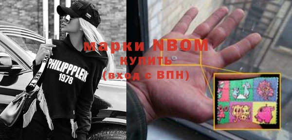 дурь Пестово